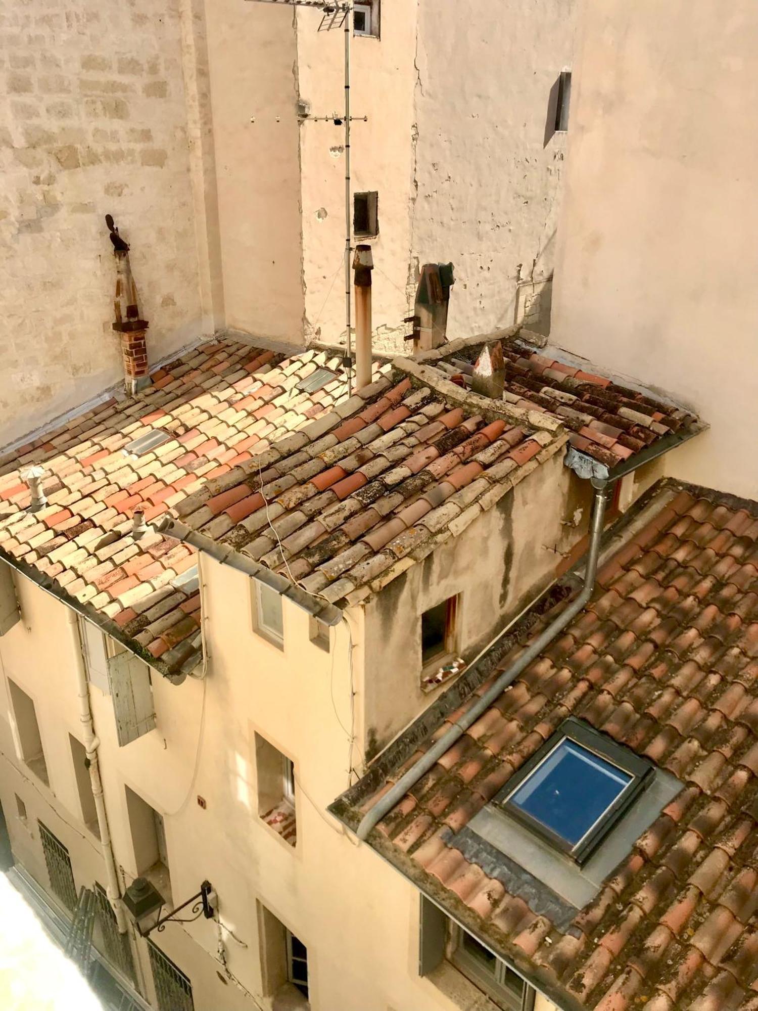 Appartement Cosy Et Calme - Centre Historique Montpellier Dış mekan fotoğraf