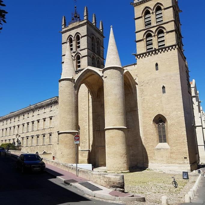 Appartement Cosy Et Calme - Centre Historique Montpellier Dış mekan fotoğraf